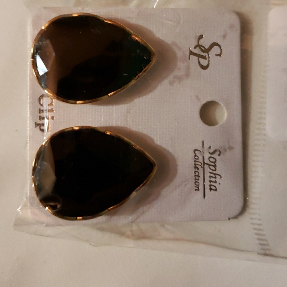 Earrings Clip